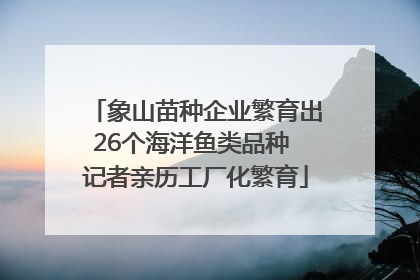 象山苗种企业繁育出26个海洋鱼类品种 记者亲历工厂化繁育