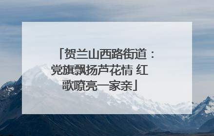 贺兰山西路街道：党旗飘扬芦花情 红歌嘹亮一家亲