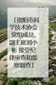 资阳市科学技术协会党组成员、副主席刘小彬 接受纪律审查和监察调查