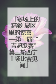 赛场上的精彩 展区里的惊喜——第二届“青超联赛”第三轮西宁主场比赛见闻