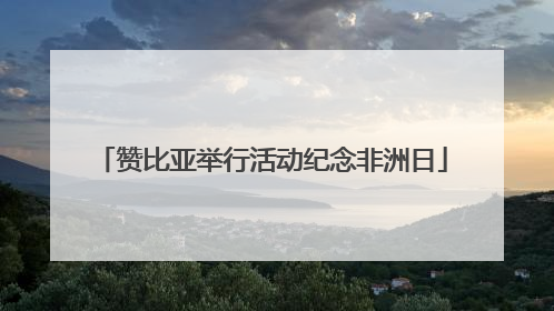 赞比亚举行活动纪念非洲日