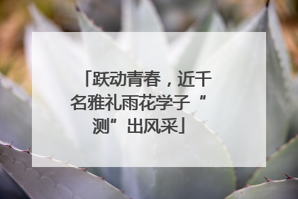 跃动青春，近千名雅礼雨花学子“测”出风采