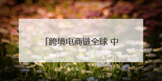 跨境电商链全球 中小企业迎出海新机