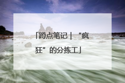 蹲点笔记｜“疯狂”的分拣工