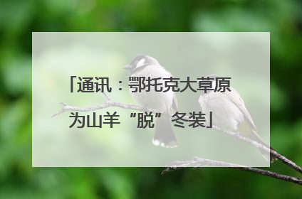通讯：鄂托克大草原为山羊“脱”冬装