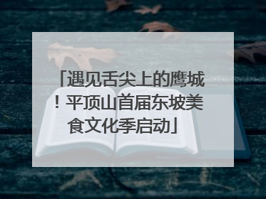 遇见舌尖上的鹰城！平顶山首届东坡美食文化季启动