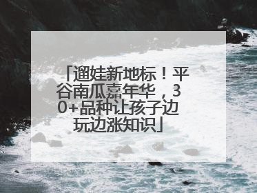 遛娃新地标！平谷南瓜嘉年华，30+品种让孩子边玩边涨知识