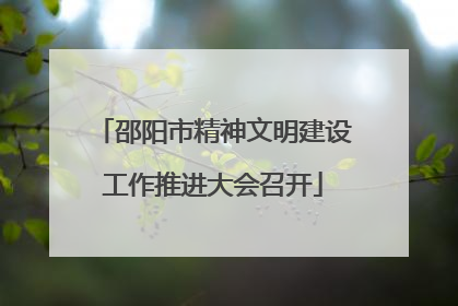 邵阳市精神文明建设工作推进大会召开