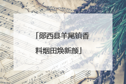 郧西县羊尾镇香料烟田焕新颜