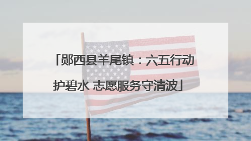 郧西县羊尾镇：六五行动护碧水 志愿服务守清波