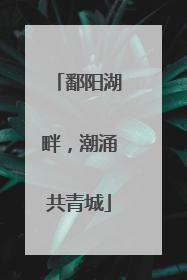 鄱阳湖畔，潮涌共青城