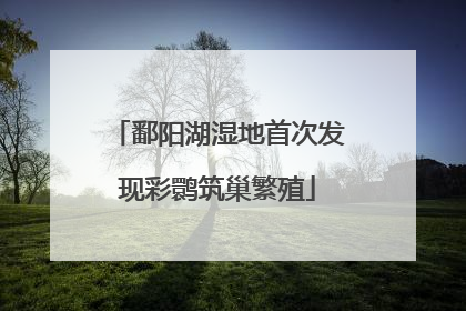 鄱阳湖湿地首次发现彩鹮筑巢繁殖
