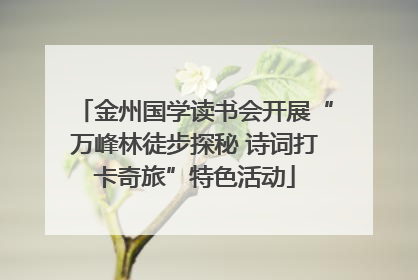 金州国学读书会开展“万峰林徒步探秘 诗词打卡奇旅”特色活动