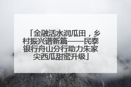 金融活水润瓜田，乡村振兴谱新篇——民泰银行舟山分行助力朱家尖西瓜甜蜜升级