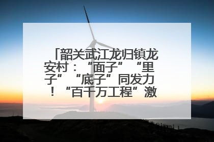 韶关武江龙归镇龙安村：“面子”“里子”“底子”同发力！“百千万工程”激活乡村新动能