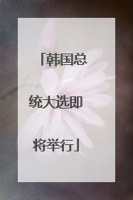 韩国总统大选即将举行