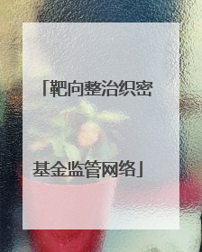靶向整治织密基金监管网络