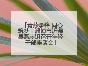 青燕争锋 同心筑梦丨淄博市沂源县燕崖镇召开年轻干部座谈会