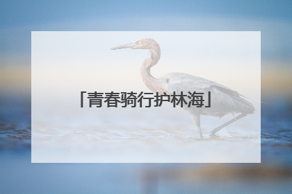 青春骑行护林海