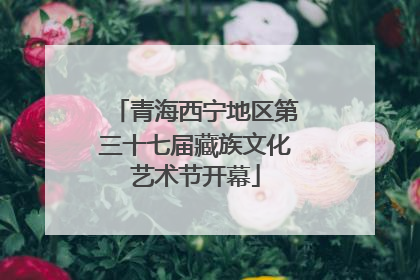 青海西宁地区第三十七届藏族文化艺术节开幕