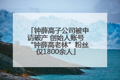 钟薛高子公司被申请破产 创始人账号“钟薛高老林”粉丝仅1800余人