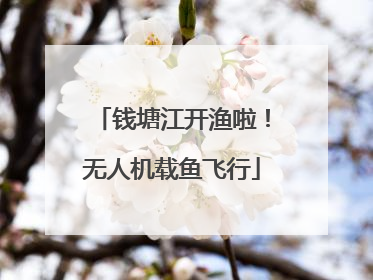 钱塘江开渔啦！无人机载鱼飞行