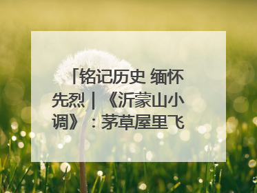 铭记历史 缅怀先烈｜《沂蒙山小调》：茅草屋里飞出文化瑰宝