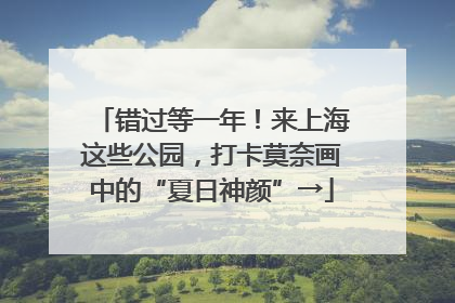 错过等一年！来上海这些公园，打卡莫奈画中的“夏日神颜”→