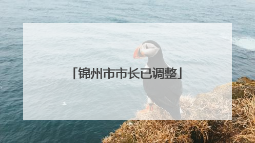 锦州市市长已调整