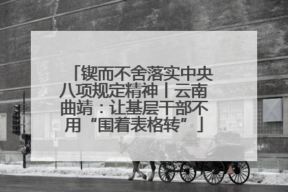锲而不舍落实中央八项规定精神丨云南曲靖：让基层干部不用“围着表格转”