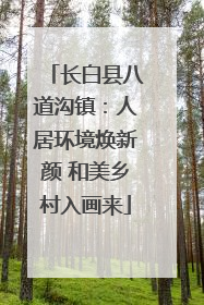 长白县八道沟镇：人居环境焕新颜 和美乡村入画来