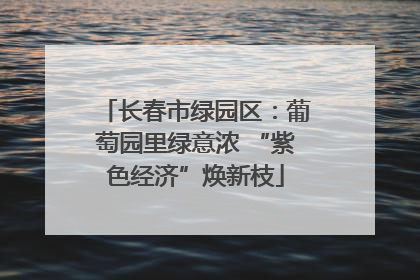 长春市绿园区：葡萄园里绿意浓 “紫色经济”焕新枝