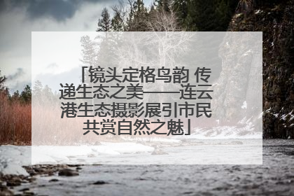 镜头定格鸟韵 传递生态之美——连云港生态摄影展引市民共赏自然之魅