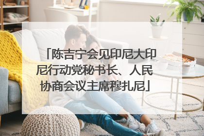 陈吉宁会见印尼大印尼行动党秘书长、人民协商会议主席穆扎尼