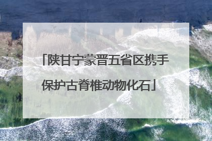 陕甘宁蒙晋五省区携手保护古脊椎动物化石