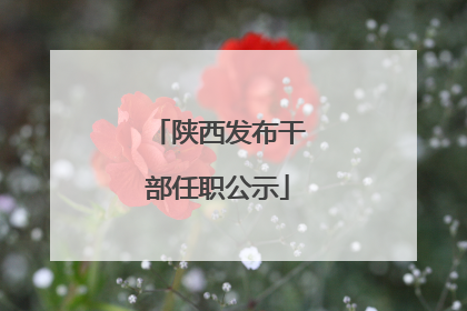 陕西发布干部任职公示