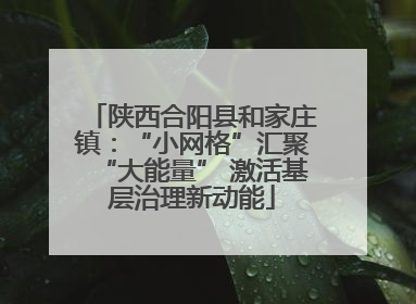 陕西合阳县和家庄镇：“小网格”汇聚“大能量” 激活基层治理新动能