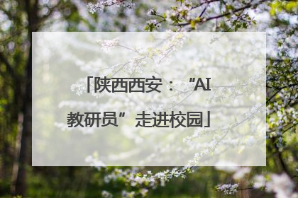 陕西西安：“AI教研员”走进校园