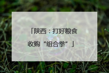 陕西：打好粮食收购“组合拳”