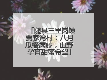 随县三里岗镇贾家湾村：八月瓜缀满藤，山野孕育甜蜜希望