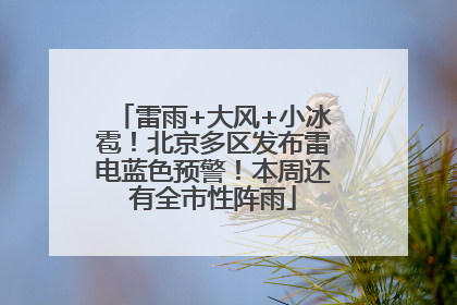 雷雨+大风+小冰雹！北京多区发布雷电蓝色预警！本周还有全市性阵雨