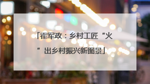 霍军政：乡村工匠“火”出乡村振兴新图景