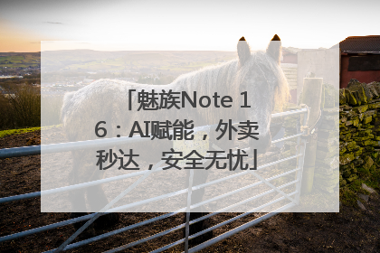 魅族Note 16：AI赋能，外卖秒达，安全无忧