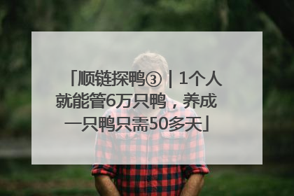 顺链探鸭③｜1个人就能管6万只鸭，养成一只鸭只需50多天