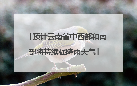 预计云南省中西部和南部将持续强降雨天气