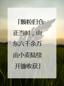 颗粒归仓正当时，山东六千余万亩小麦陆续开镰收获
