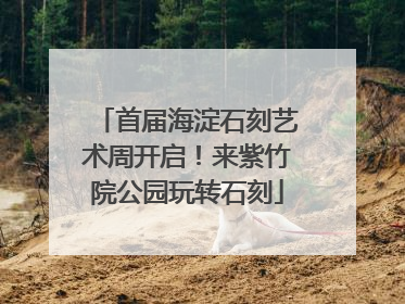 首届海淀石刻艺术周开启！来紫竹院公园玩转石刻