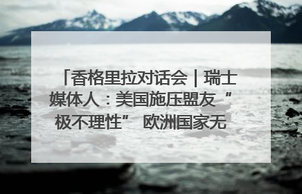 香格里拉对话会｜瑞士媒体人：美国施压盟友“极不理性” 欧洲国家无意与中国“脱钩断链”