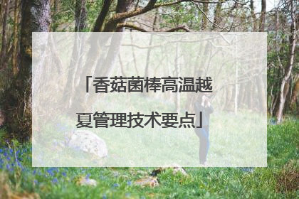 香菇菌棒高温越夏管理技术要点
