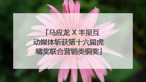 马应龙 X 丰巢互动媒体斩获第十六届虎啸奖联合营销类铜奖